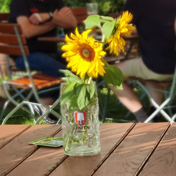 Sommer, Sonne, gute Gespräche!
