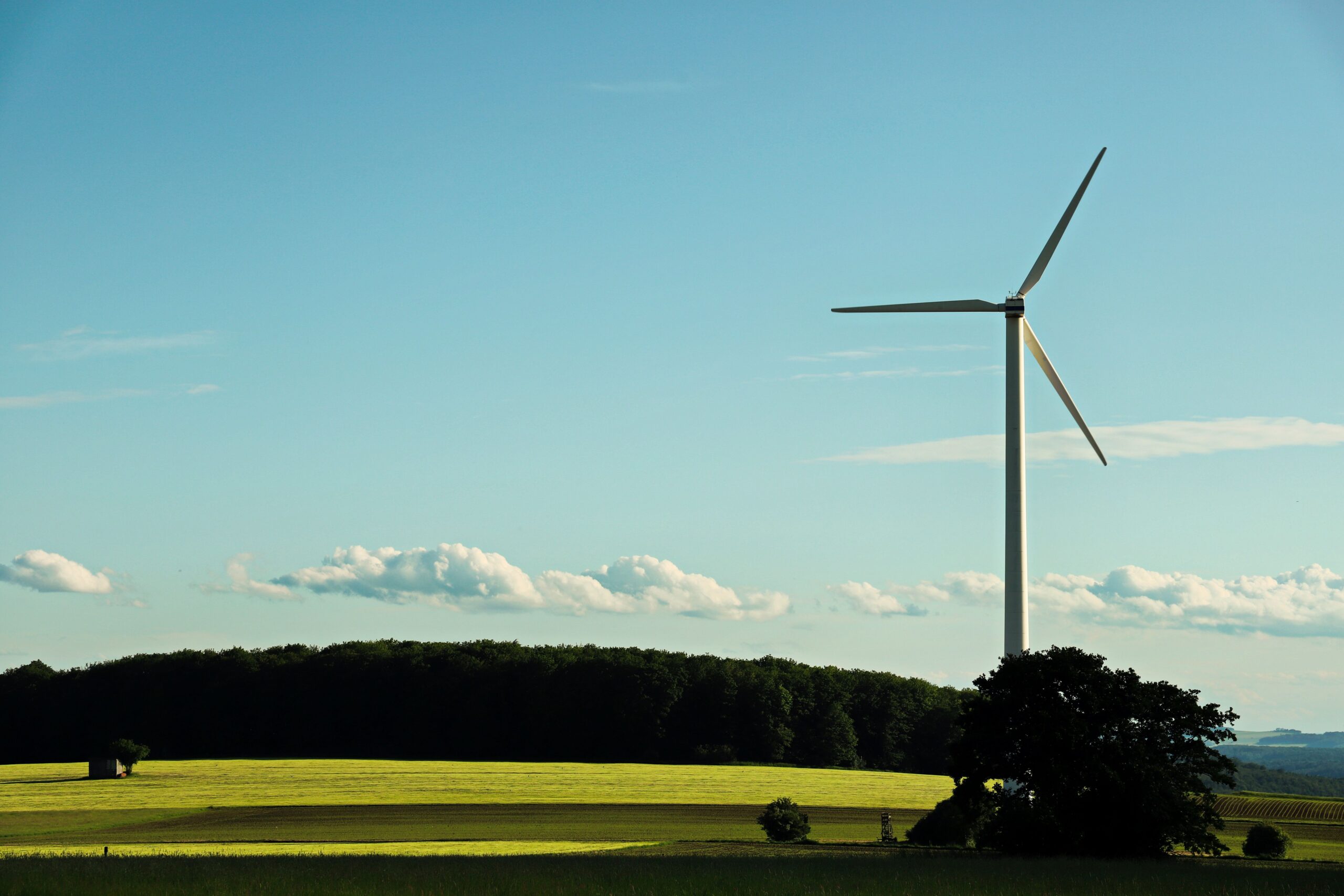 A wind turbine stands tall in a green field against a backdrop of blue sky and trees, symbolizing renewable energy.